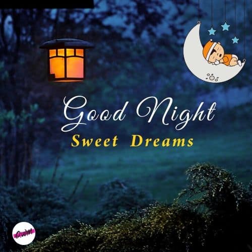 Good Night Images Pictures  Sweet Dreams Wallpapers HD