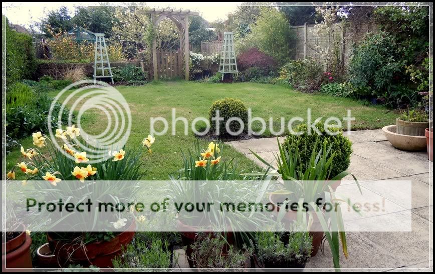 http://i232.photobucket.com/albums/ee192/thebear843/Garden/garden20121.jpg