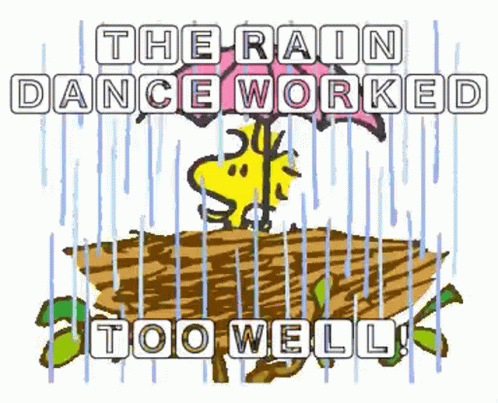 Snoopy Woodstock GIF - Snoopy Woodstock Rain - Discover  Share GIFs