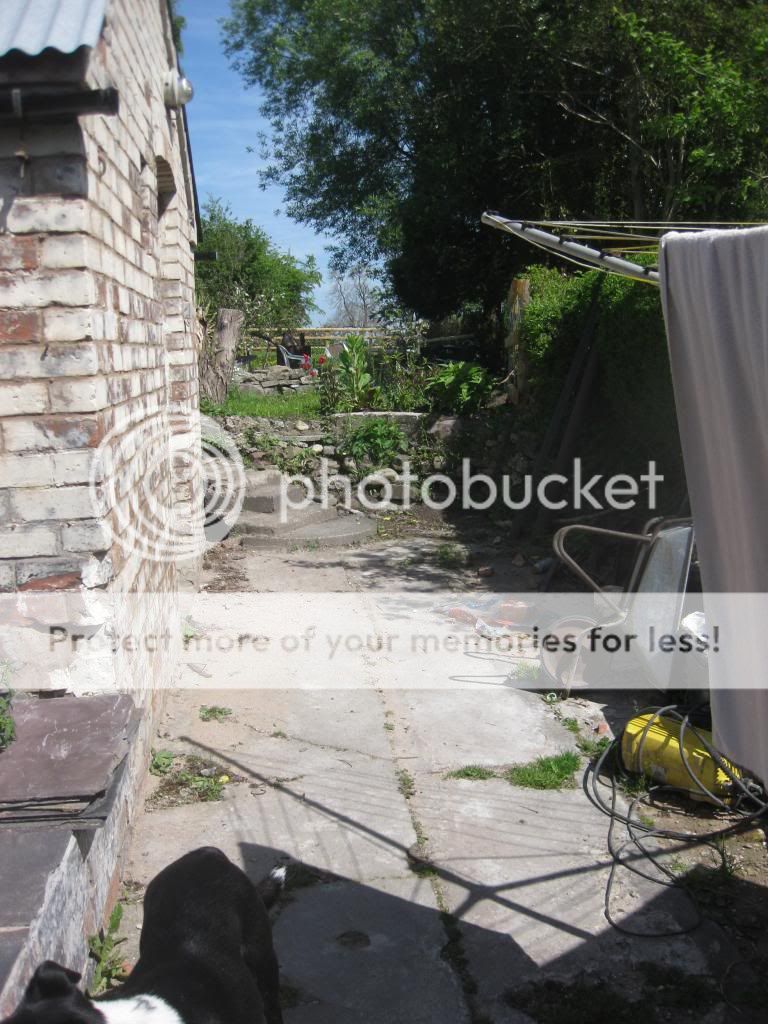 http://i1187.photobucket.com/albums/z383/kt_j63/IMG_5817.jpg