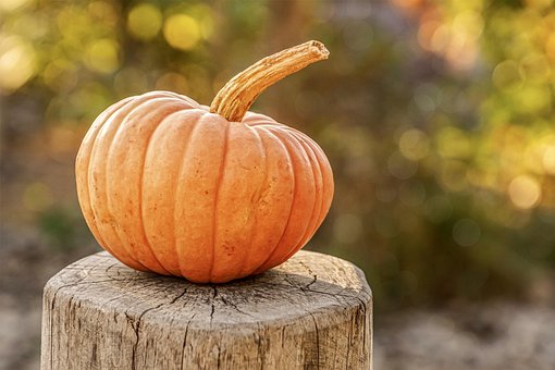 5000 Free Pumpkins  Halloween Images - Pixabay