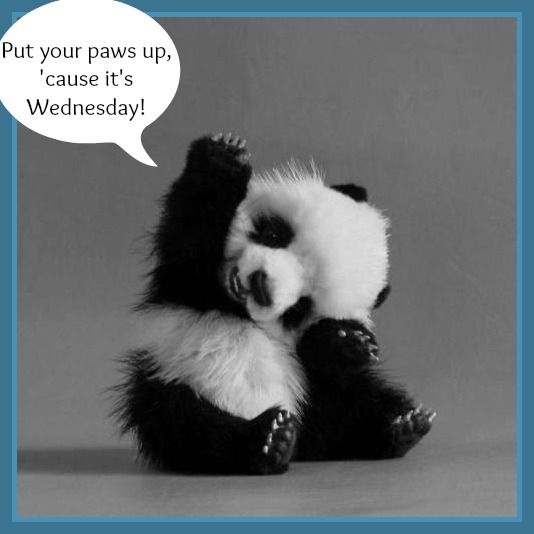 Image result for Have a lovely day images