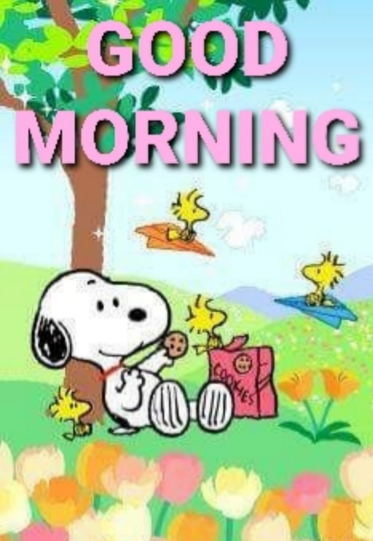 GOOD-MORNING  Good morning snoopy Holiday quotes funny Snoopy  pictures