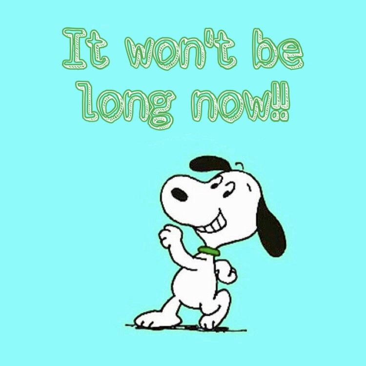 Pin by Liliane vP on Peanuts  Snoopy  Snoopy quotes