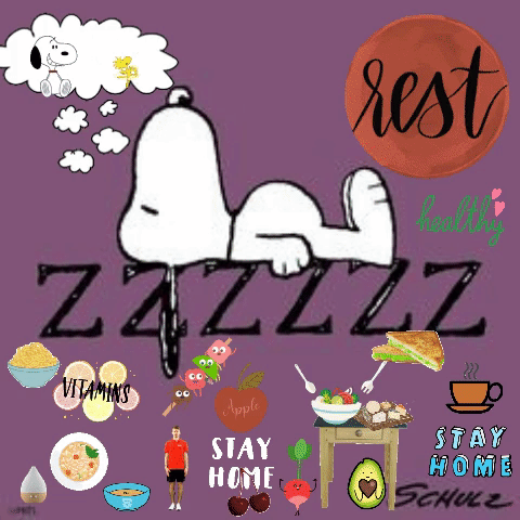 Snoopy and Woodstock Rest is best sleep eat healthy stay home save  lives exercise take care of friends v  Snoopy sleeping Snoopy images  Goodnight snoopy