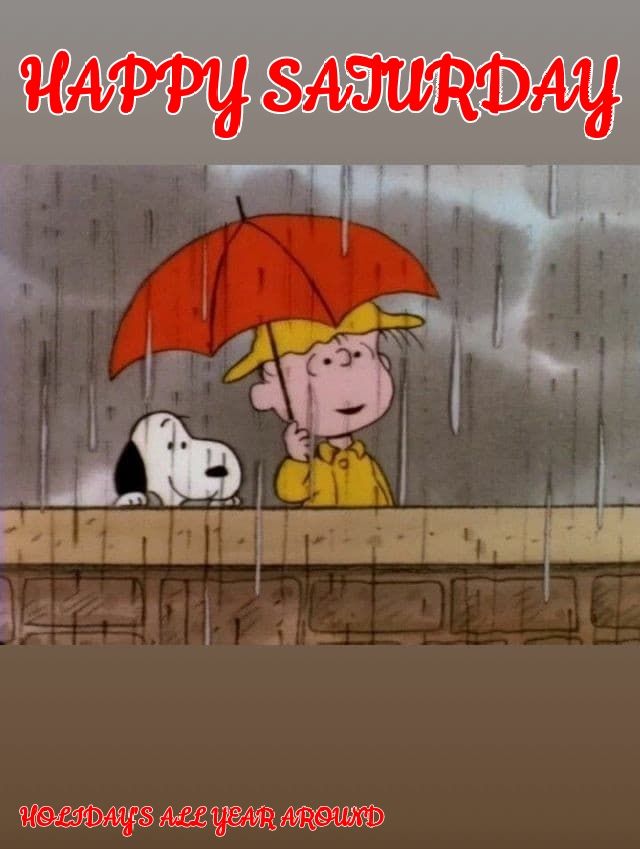 Happy Saturday  Happy saturday pictures Happy saturday Goodnight snoopy