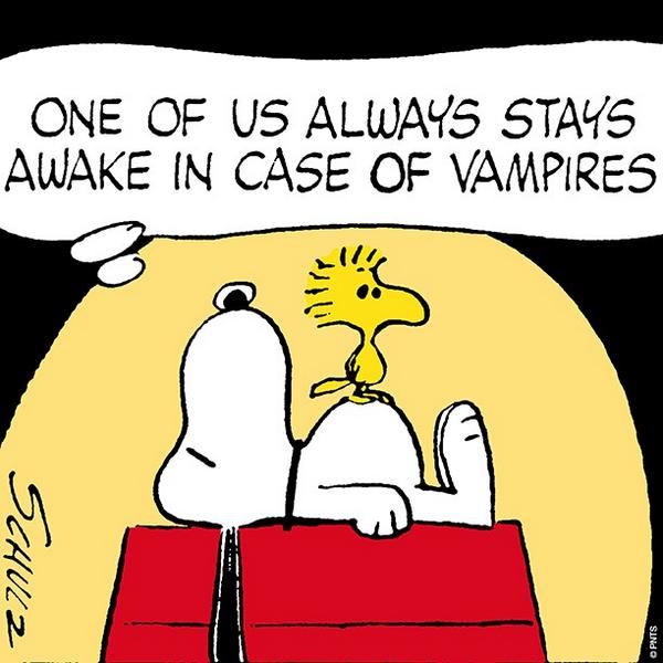 PEANUTS on Twitter quotSunday nights with Snoopy and Woodstock  httptcoNRHgvVUIlcquot