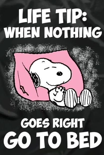 MKLopezs Tumblings  Snoopy Snoopy funny Snoopy quotes