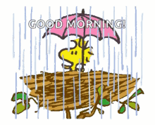Snoopy In The Rain Pictures GIFs  Tenor
