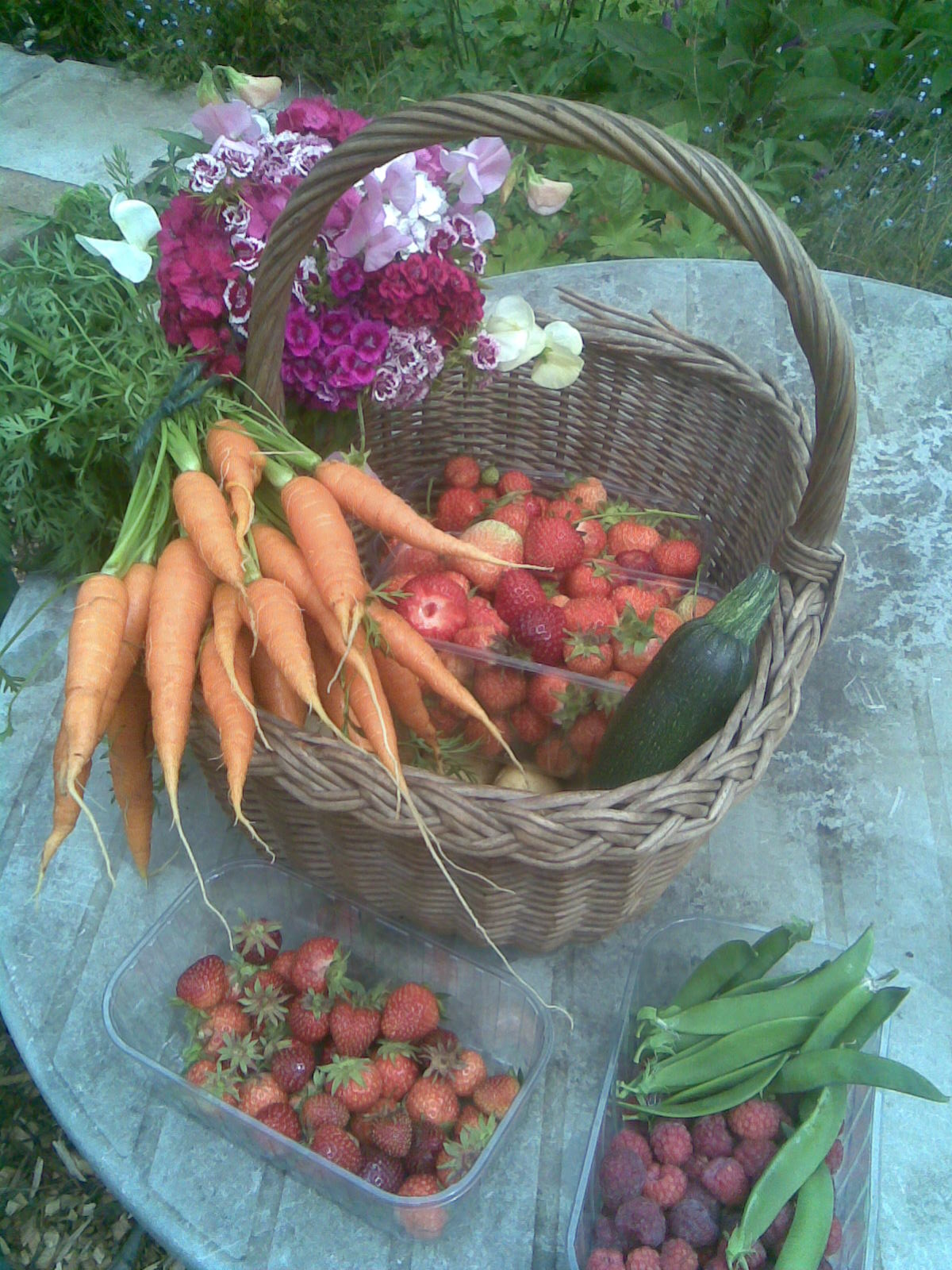 Notjustgreenfingers blog