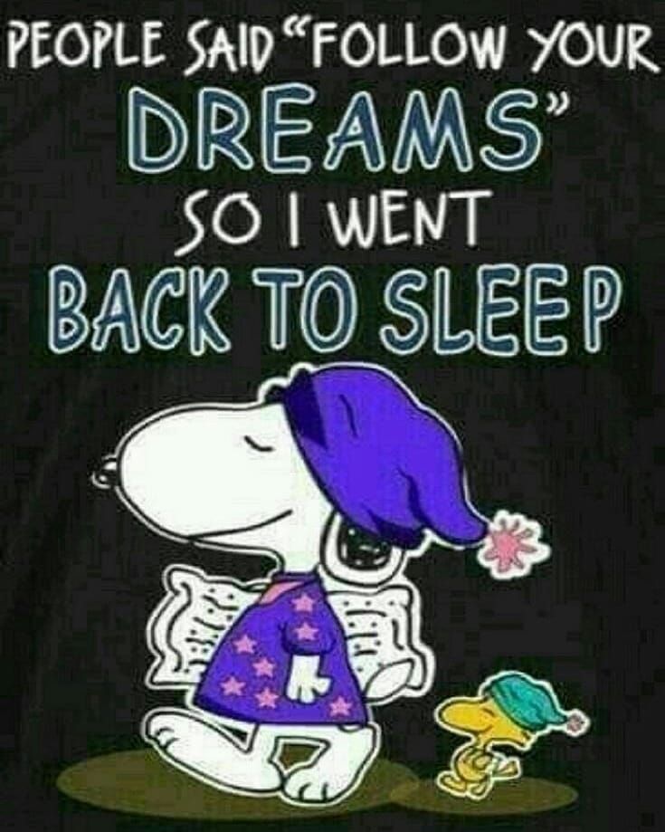 coolsnoopyfans on Instagram Lol     Please Follow Us   coolsnoopyfans  Tag Comment Save To be fe  Snoopy funny Snoopy  images Snoopy quotes
