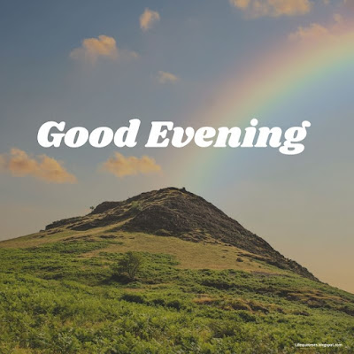 Good Evening Images  HD Photos And Pictures  LifeQuoteses