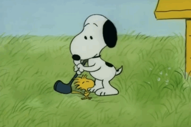 Pin by Yellowisme on   Snoopy comics Snoopy Snoopy love
