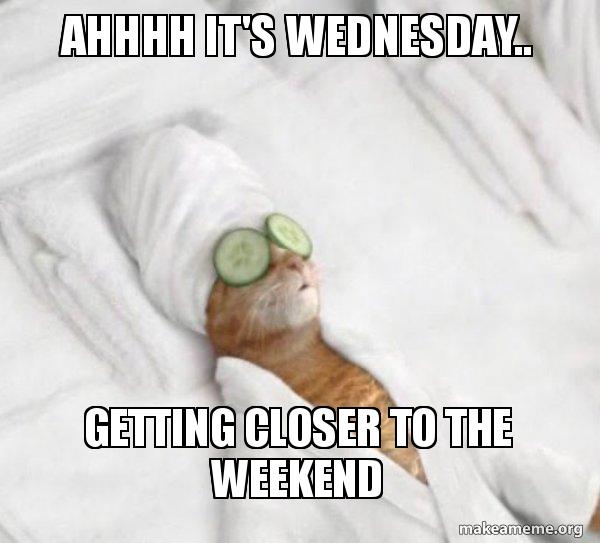 Ahhhh Its Wednesday Getting closer to the weekend - Pampered Cat Meme   Make a Meme