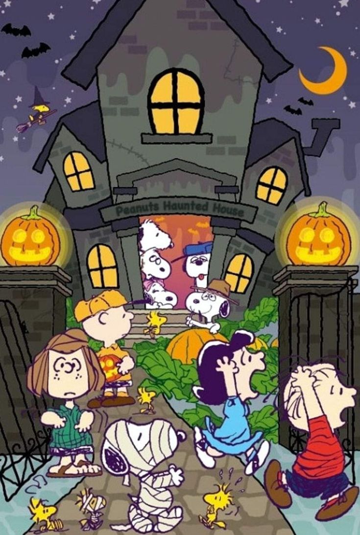 Pin by Susan Stewart  on snoopy holidays   Charlie brown halloween  Snoopy halloween Snoopy pictures