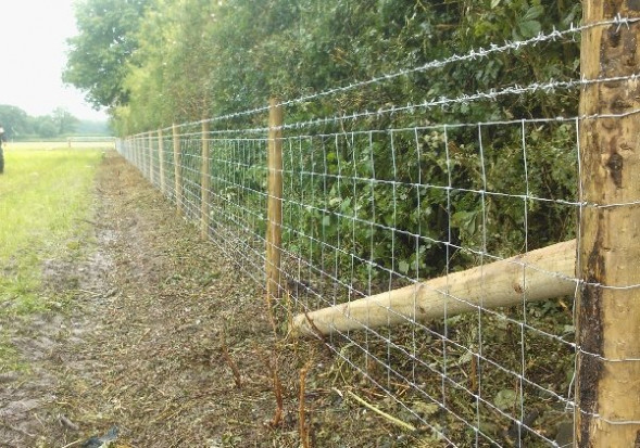 Image result for stock fence