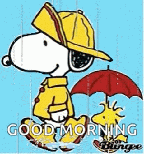 Snoopy Woodstock GIF - Snoopy Woodstock Rain - Discover  Share GIFs