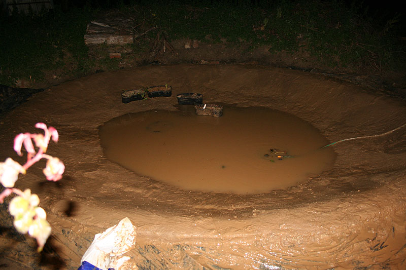 http://www.herpetofauna.co.uk/forum/uploads/21750/Pond_14_September.jpg