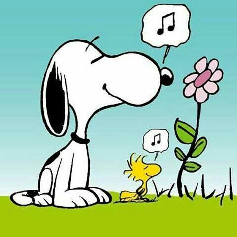 Happiness is smelling the flowers  Snoopy love Snoopy images Snoopy  funny