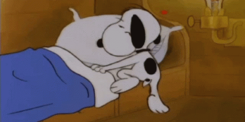 Snoopy Sleep GIFs  Tenor