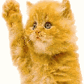 http://i1143.photobucket.com/albums/n627/thedogcody/christmas%20animations/701-thumb.gif