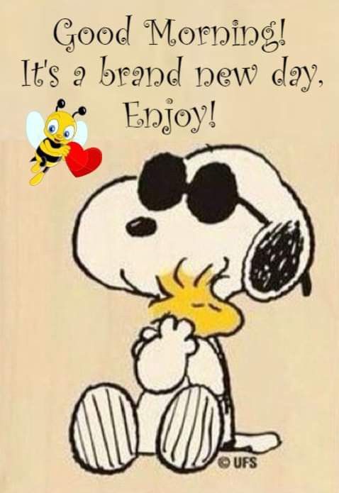 Pin by Edie Holbrook on Day by day  Good morning snoopy Good morning  greetings Good morning wishes