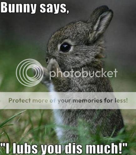 http://i1143.photobucket.com/albums/n627/thedogcody/bunny_loves_you-176_zps43b91115.jpg
