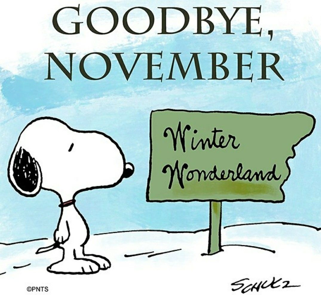 Goodbye November  Amour snoopy Snoopy Novembre