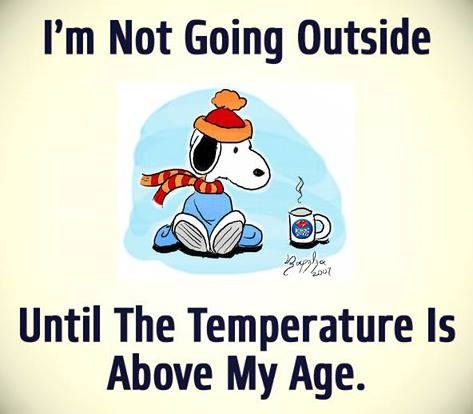 cold brrrrr Baby Its Cold Aside  Funny quotes Snoopy funny Weather  quotes