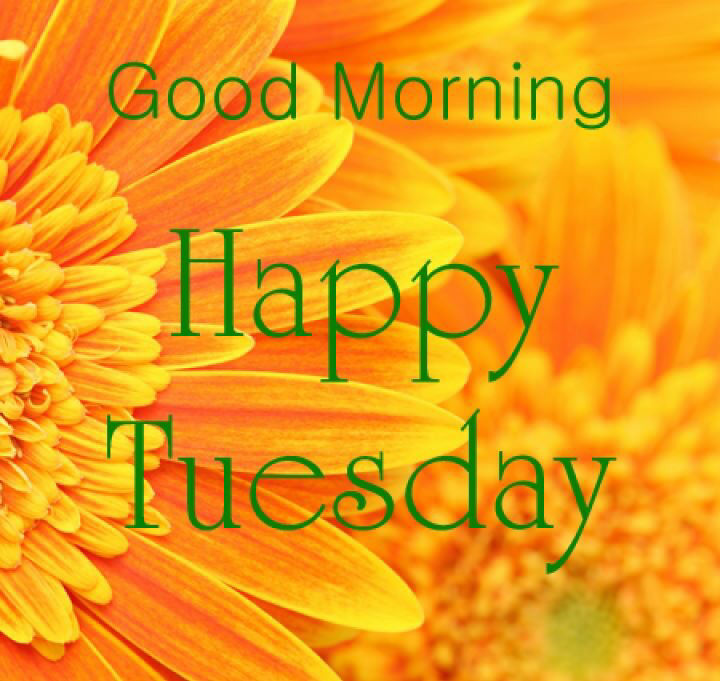 Image result for tuesday morning images