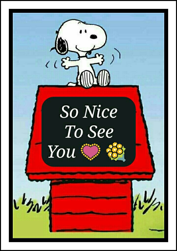 At the End of the Day Dogs hav such a Positive Attitude   Snoopy  quotes Peanuts snoopy woodstock Charlie brown and snoopy
