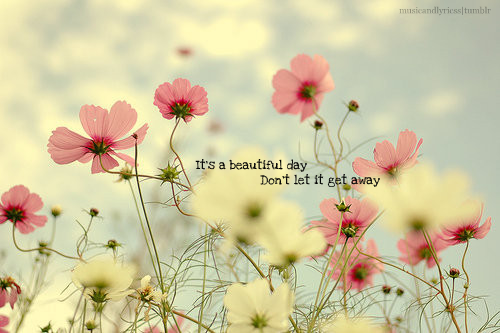 Image result for beautiful day images