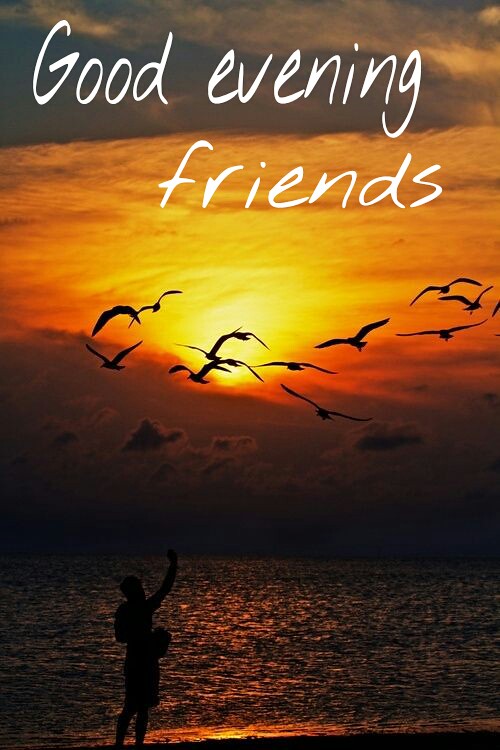 good evening friends  good evening friends  Mona Vdm  Flickr