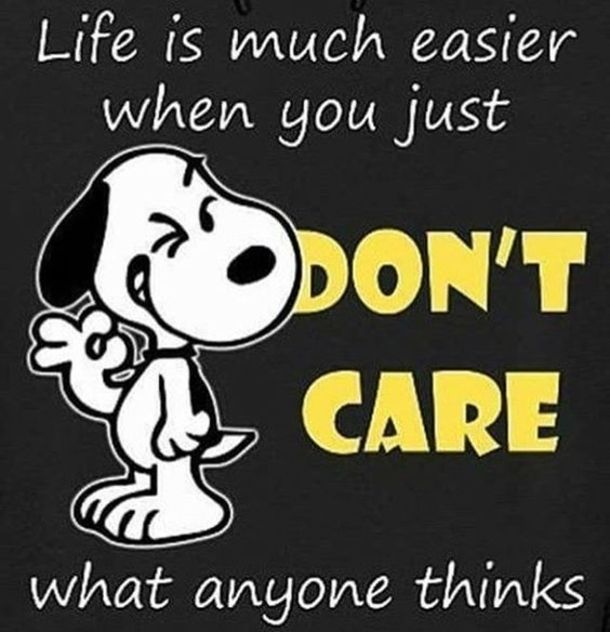 10 Popular Encouragement Quotes And Sayings  Snoopy quotes Funny quotes  Encouragement quotes