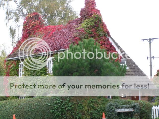http://i27.photobucket.com/albums/c186/DavidKnapper/PA030003.jpg