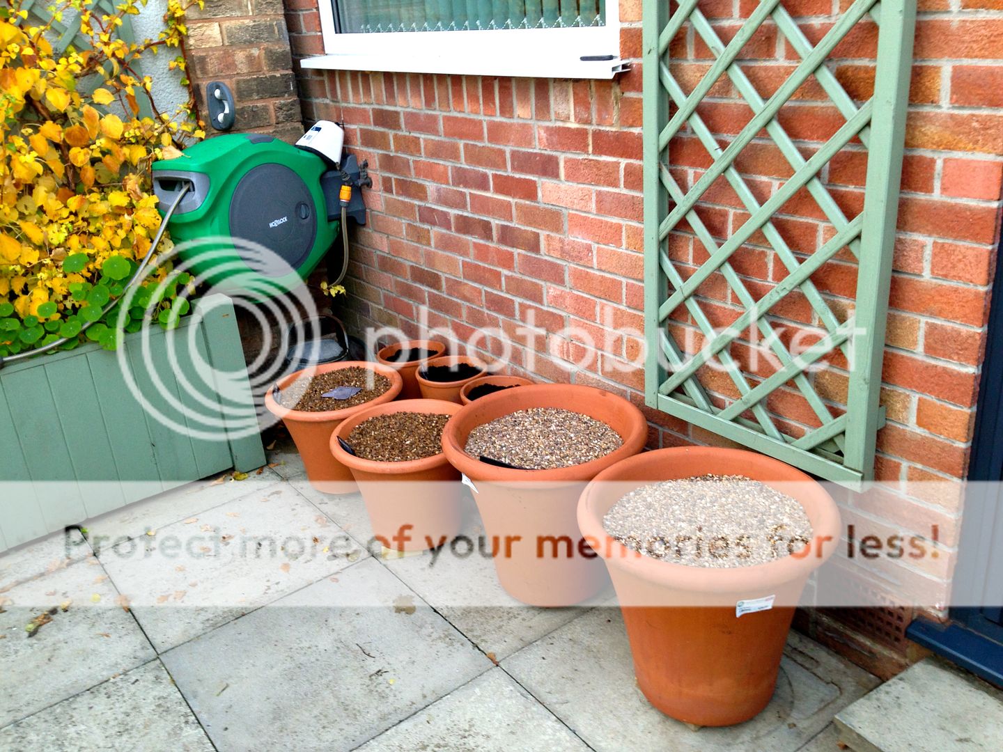 http://i232.photobucket.com/albums/ee192/thebear843/Garden/IMG_8283_zps1ph7unov.jpg