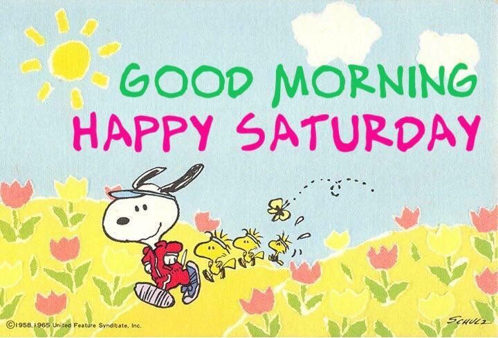 Pin by Heike on Charlie Brown Quotes  Good morning snoopy Good morning  happy saturday Happy saturday images