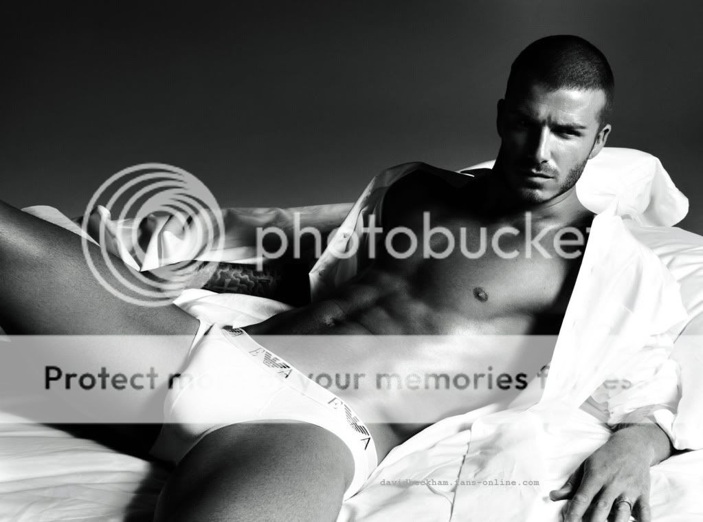 http://i1143.photobucket.com/albums/n627/thedogcody/beckham_lg_zps8b38d76d.jpg