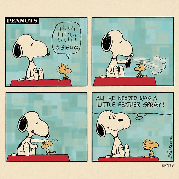 PEANUTS on Twitter  Snoopy funny Snoopy cartoon Snoopy