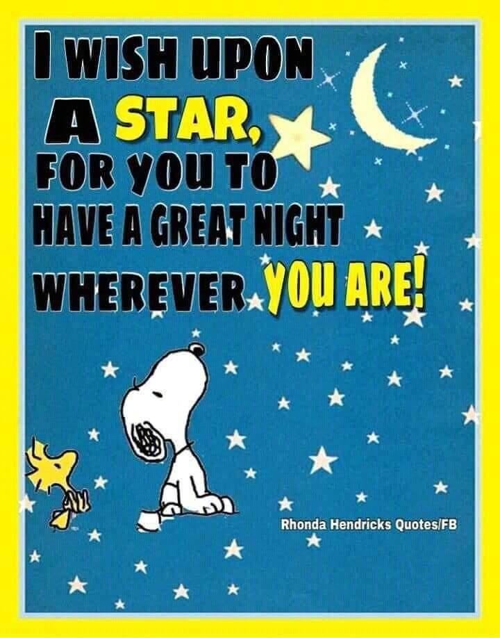 Pin by Pinner on Snoopy  The Peanuts Gang  Snoopy quotes