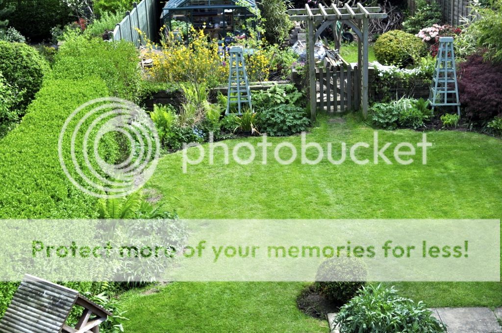 http://i232.photobucket.com/albums/ee192/thebear843/Garden/file_zpse2eb87ce.jpg