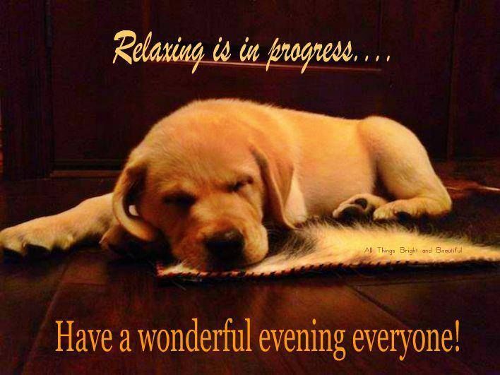 have a wonderful evening  Evening quotes Good night quotes Good evening