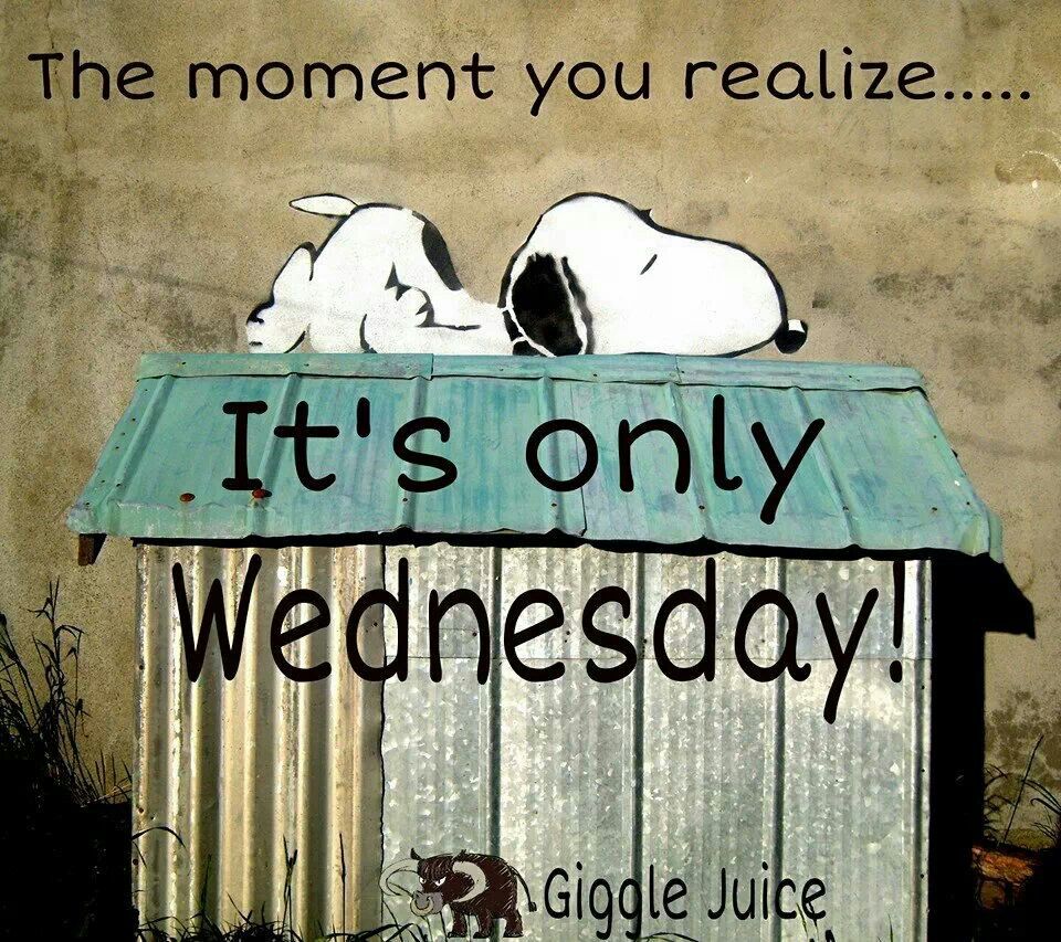 Its only Wednesday  Snoopy quotes Funny day quotes Peanuts cartoon