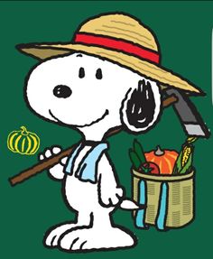 34 Snoopys Garden ideas  snoopy snoopy love charlie brown and snoopy