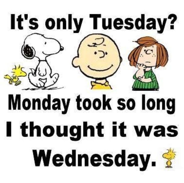 10 Peanuts Gang Tuesday Quotes