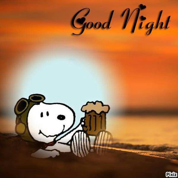 100 Snoopy Morning amp Night ideas  snoopy snoopy love charlie brown and  snoopy