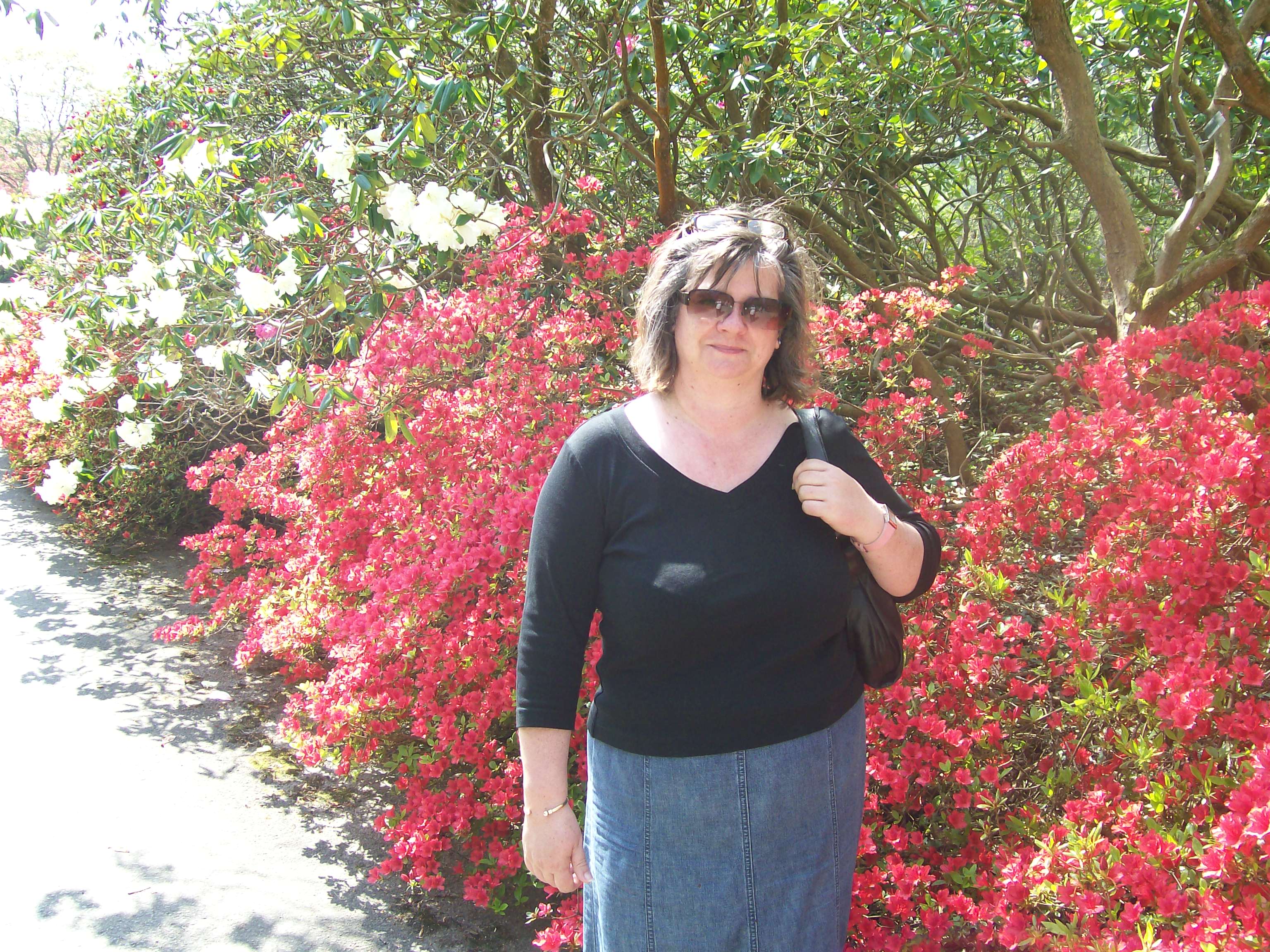 Shirley5