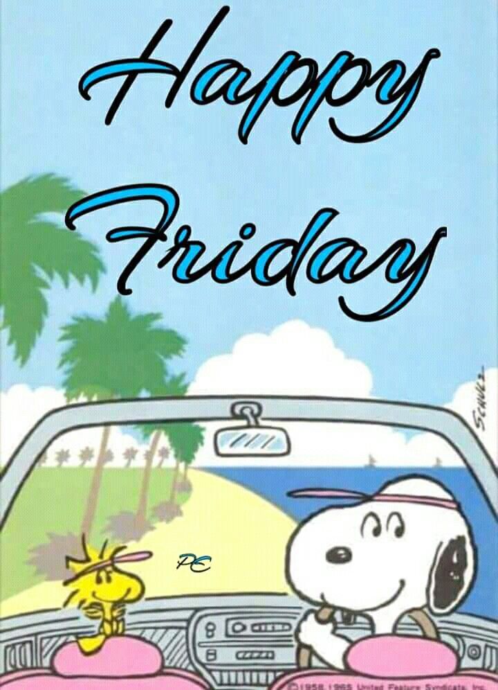 Pin by Anne on Snoopy  Snoopy friday Friday images Its friday quotes