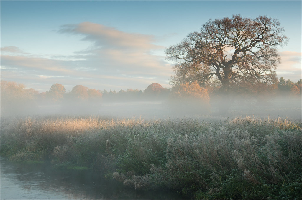 Image result for Frosty morning images