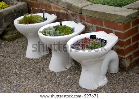http://image.shutterstock.com/display_pic_with_logo/4500/4500,1128360571,1/stock-photo-unusual-planters-toilets-used-to-raise-alpine-plants-597671.jpg